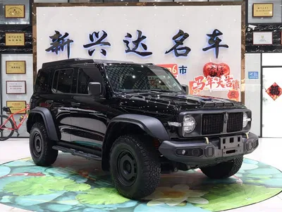 2023 Tank 300 2.0T Iron Cavalry 02, фото 3, лот 10344754