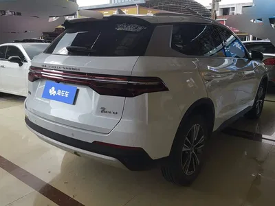 2019 BYD Song Pro 1.5T Automatic Luxury, фото 3, лот 10251241