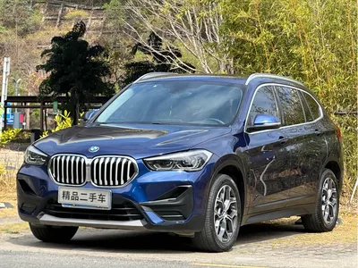 2020 BMW X1 sDrive25Li Leading Model, фото 1, лот 10465377