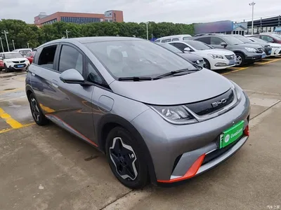 2021 BYD Dolphin Model 405km Fashion Edition, фото 4, лот 11203121