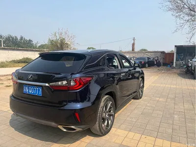2016 Lexus RX 300 4WD Elegance Edition (China V), фото 4, лот 10675864