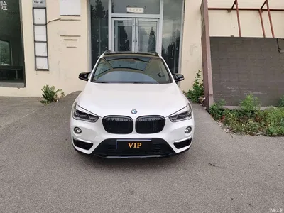 2016 BMW X1 xDrive20Li Luxury Model, фото 1, лот 11210377