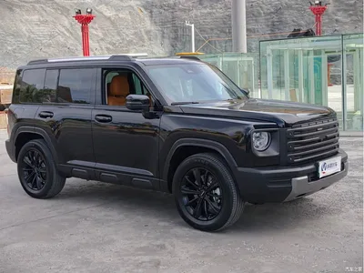 2024 Haval Meng Long NEV Hi4 145 Pro, фото 3, лот 10416652