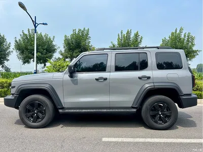 2021 Tank 300 Off-road Version 2.0T Conqueror, фото 3, лот 10345186