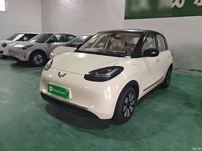 2025 Wuling Motors Wuling Bingo Model 333km Joy Edition, фото 1, лот 10371802
