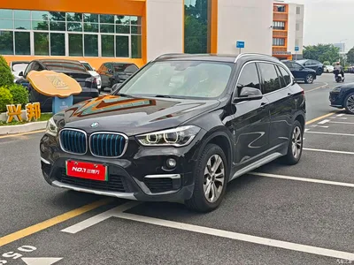 2019 BMW X1 New Energy xDrive25Le Range Upgrade Edition, фото 1, лот 11006736