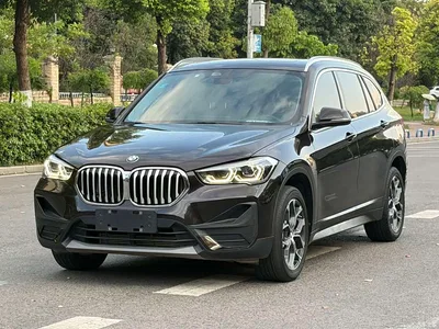 2020 BMW X1 sDrive25Li Leading Model, фото 1, лот 10479017