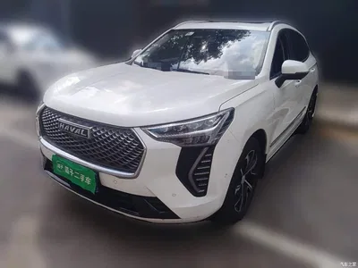 2021 Haval First Love 1.5T Automatic Premium Edition, фото 2, лот 11170792