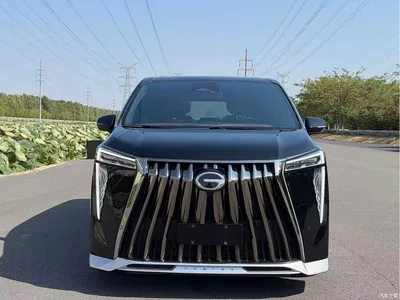 2024 GAC Trumpchi Trumpchi M8 Patriarch Series 400T Ultimate Edition, фото 2, лот 10613005