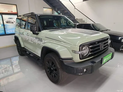 2021 Tank 300 Urban Edition 2.0T Stylish, фото 4, лот 11133754