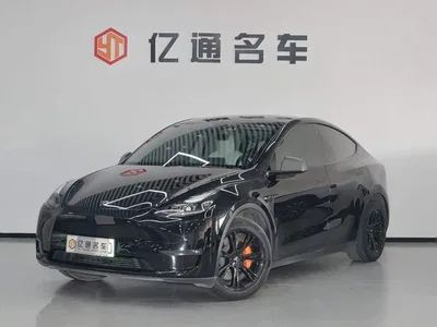 2021 Tesla Model Y Standard Range Rear-Wheel Drive, фото 1, лот 11218593