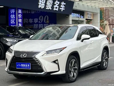 2016 Lexus RX 300 4WD Elegance Edition (China V), фото 1, лот 10318466