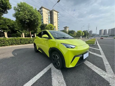 2024 BYD Seagull Glory Edition 305km Freedom Edition, фото 2, лот 11007269