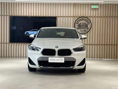 2021 BMW X2 sDrive25i Leading M Sport Package, фото 4, лот 10902726