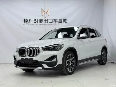 2022 BMW X1 sDrive20Li Premium, фото 1, лот 10466560