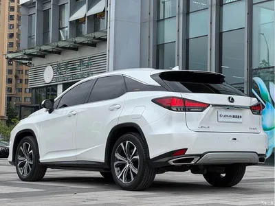 2020 Lexus RX 300 AWD Elegance Edition China V, фото 4, лот 10317645
