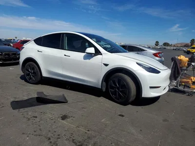 2024 TESLA MODEL Y, фото 4, лот 10857075
