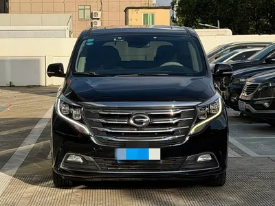 2019 GAC Trumpchi Trumpchi M8 320T Ultimate Edition, фото 2, лот 10416566