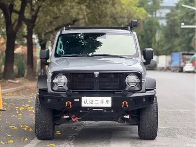 2021 Tank 300 Off-road Version 2.0T Conqueror, фото 2, лот 10344981