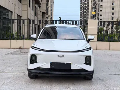 2022 Geely E Firefly 320KM Well-behaved Tiger 4-seater, фото 2, лот 11155788