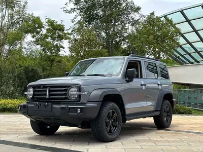 2021 Tank 300 Off-road Version 2.0T Conqueror, фото 1, лот 10344450