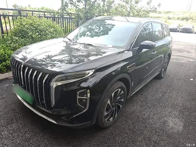 2024 Hongqi HS7 PHEV 2.0T PHEV 4WD Flagship Edition 6-seater, фото 1, лот 10289880
