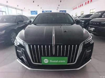 2024 Hongqi H5 2.0T Automatic Smart Connect Flag Enjoy Edition, фото 3, лот 10289525
