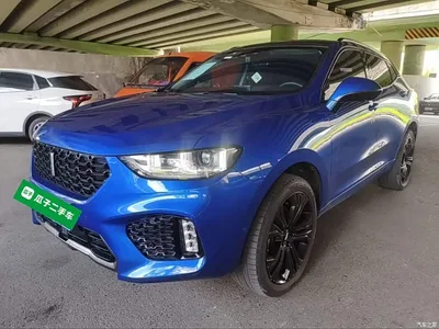 2017 WEY VV5 2.0T Flagship Model, фото 1, лот 10452238