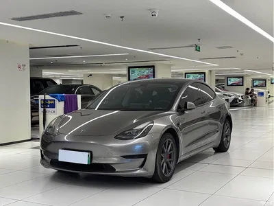 2022 Tesla Model 3 Model Rear-Wheel Drive Version, фото 1, лот 11534155