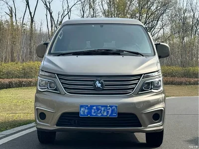 2022 Dongfeng Lingzhi M5L 2.0L Utility 7-seater, фото 2, лот 11159143