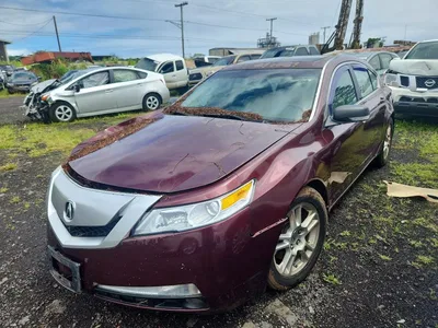 2010 ACURA TL, фото 1, лот 10871600