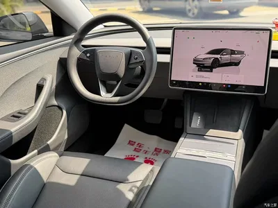 2025 Tesla Model 3 Model Rear-Wheel Drive Edition, фото 4, лот 11348058