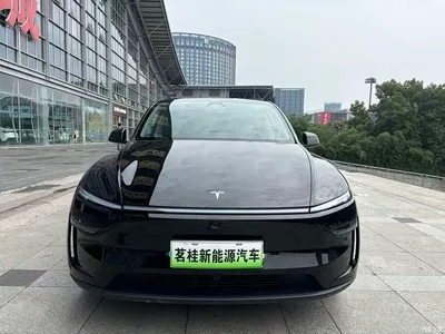 2025 Tesla Model Y Rear-Wheel Drive, фото 2, лот 11081330
