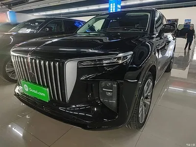 2021 Hongqi E-HS9 460km Flagship Comfort 6-seater, фото 1, лот 10289875