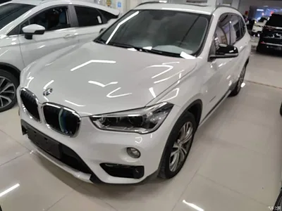2016 BMW X1 sDrive20Li Luxury Model, фото 1, лот 10467667