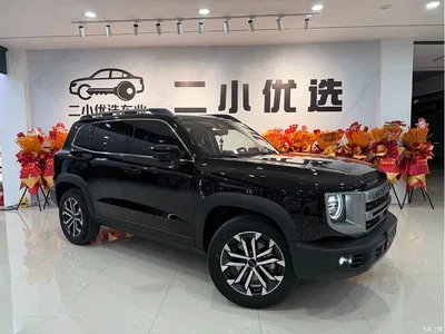 2024 Haval Big Dog 1.5T DCT Border Collie Edition, фото 2, лот 10361802