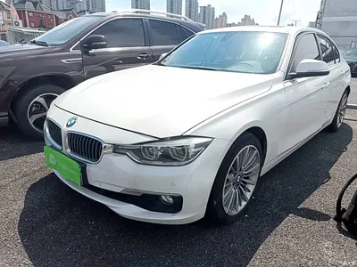 2019 BMW 3 Series 320Li Fashion Type, фото 2, лот 10457726