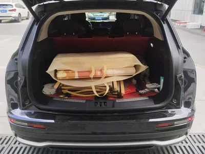 2023 Lincoln Adventurer 2.0T 2WD Zunxiang Edition, фото 4, лот 10357673