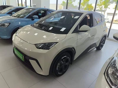 2024 BYD Seagull Glory Edition 305km Freedom Edition, фото 1, лот 10262579