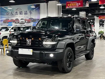 2021 Tank 300 Off-road Version 2.0T Conqueror, фото 3, лот 10345043