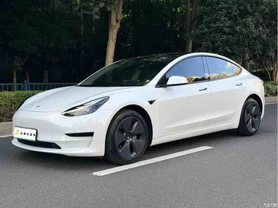 2022 Tesla Model 3 Model Rear-Wheel Drive Version, фото 1, лот 10357113