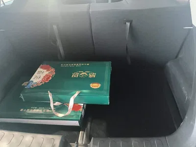 2023 Wuling Motors Wuling Bingo Model 203km Lite Enjoyment Edition, фото 4, лот 10448557