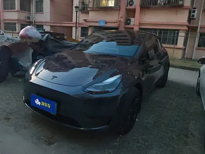 2024 Tesla Model Y Rear-Wheel Drive Version, фото 1, лот 10479015