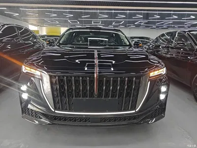 2024 Hongqi H9 2.0T Qi Chang Private Fashion Edition, фото 3, лот 10289250