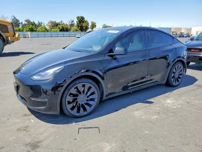 2024 TESLA MODEL Y, фото 1, лот 10851570