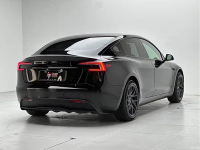 2023 Tesla Model 3 Rear-Wheel Drive, фото 4, лот 10401324