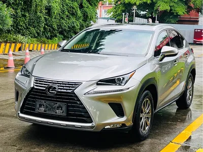 2018 Lexus NX Model 200 AWD Fengshang Edition China V, фото 1, лот 10312187