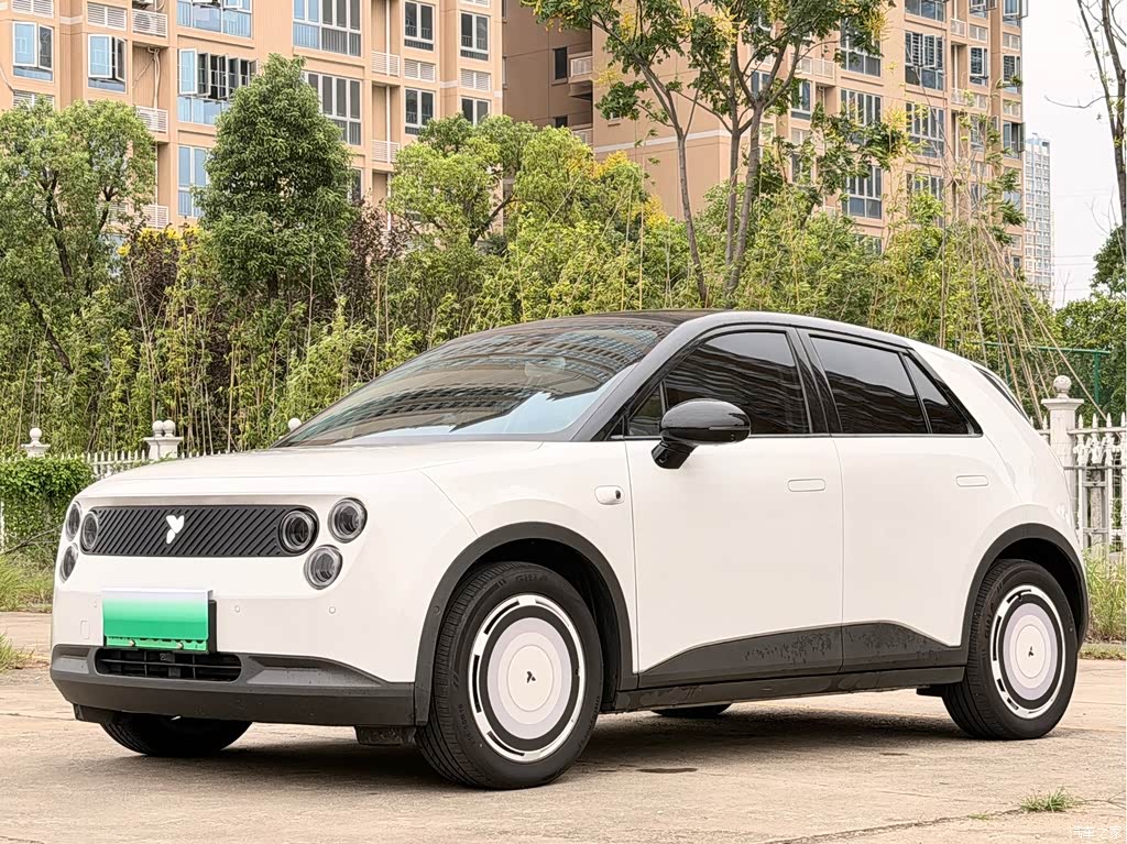 2025 Firefly Firefly Free & Easy Edition, фото 1, лот 11230546