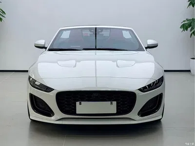 2024 Jaguar F-TYPE P300 75th Anniversary Collector's Convertible Edition, фото 2, лот 10290186