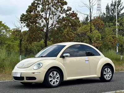 2010 Volkswagen Beetle Model 1.6 AT, фото 1, лот 10400295